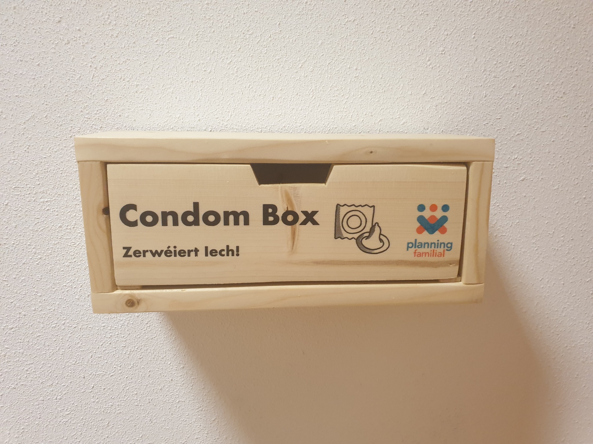 🌈 Découvrez la 