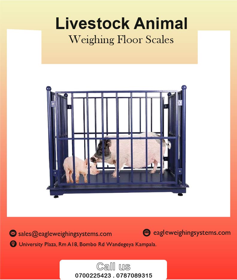 Animal Weighing Scales Supplies in Kampala