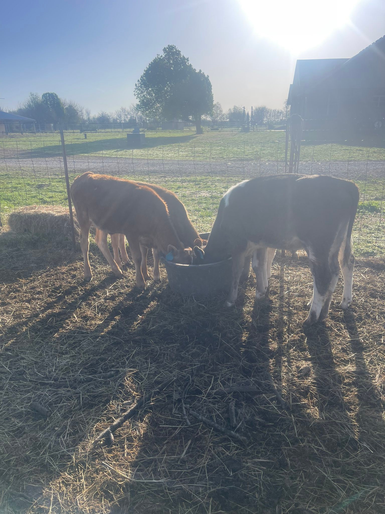 J & R Ranch and Cattle, LLC