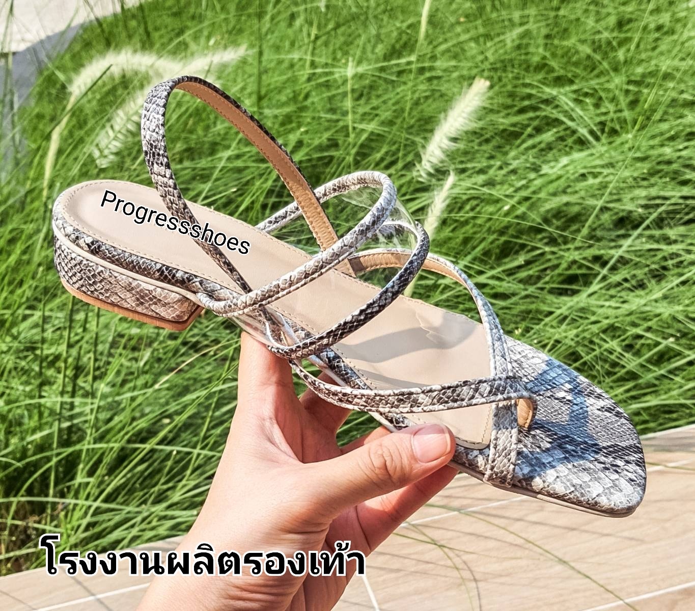 Progressshoes