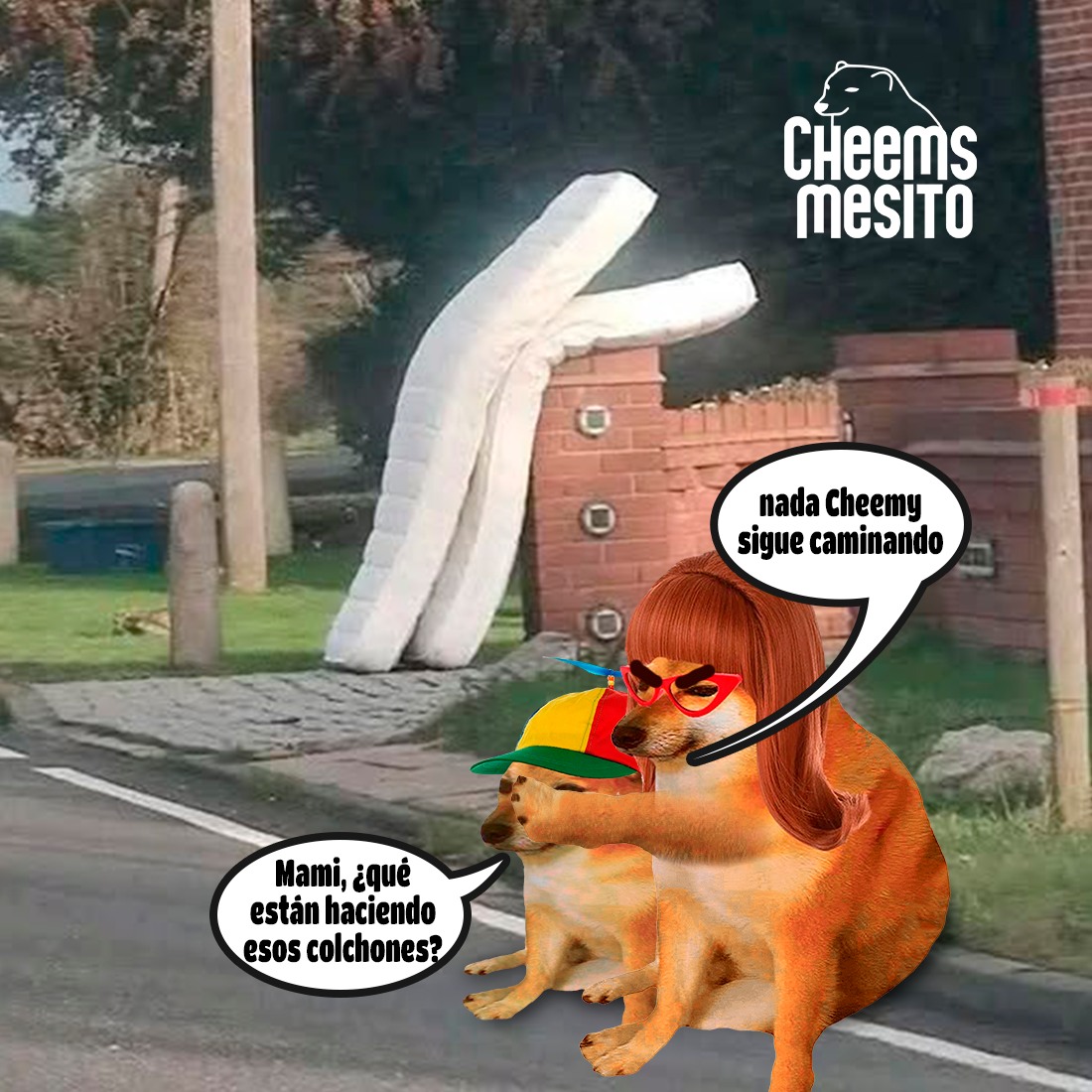 Cheemsmesito - 🐕 ¿entonces de ahí vienen las almohadas... | Facebook