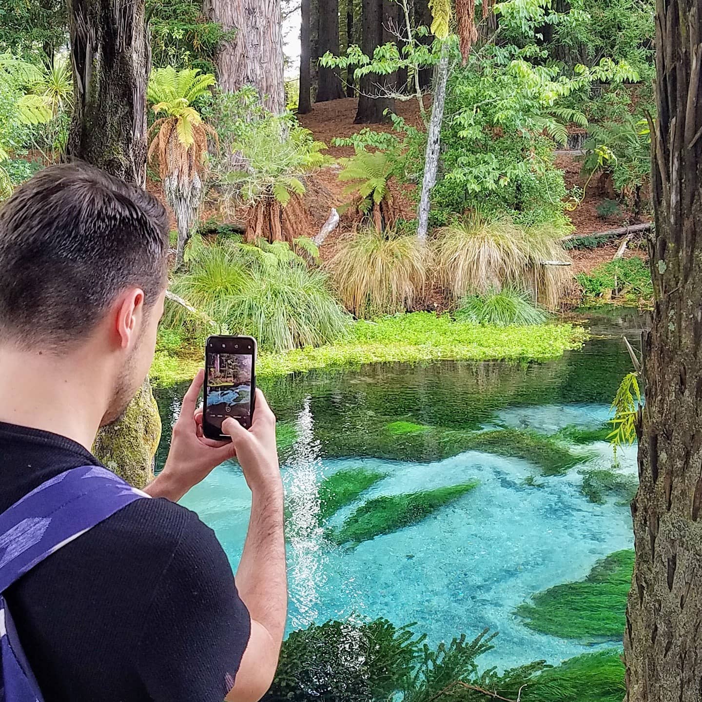 Real Rotorua | Rotorua