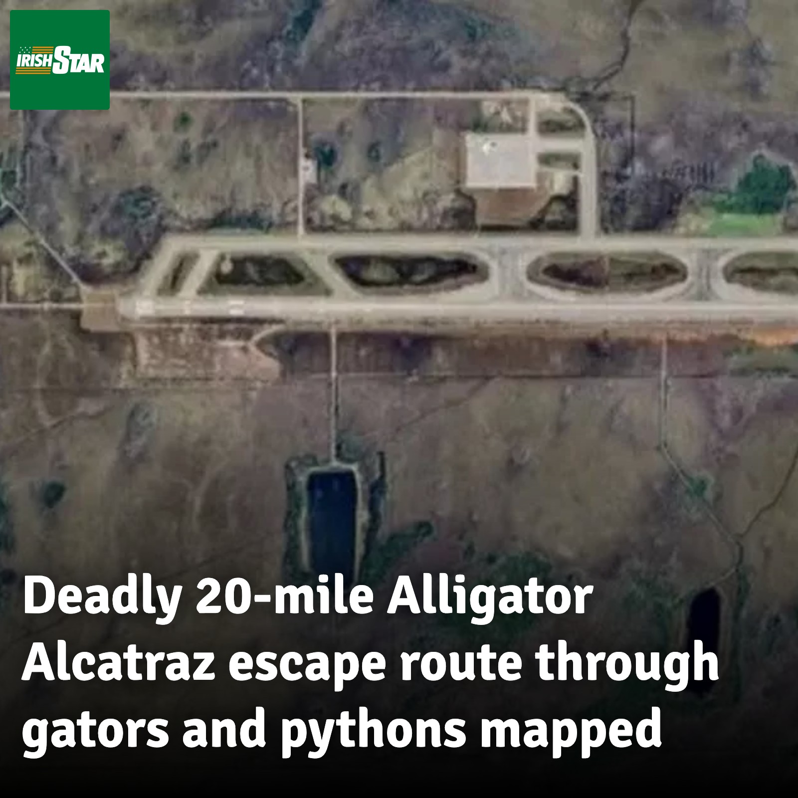Irish Star US - Escaping Alligator Alcatraz: 20-mile route... | Facebook