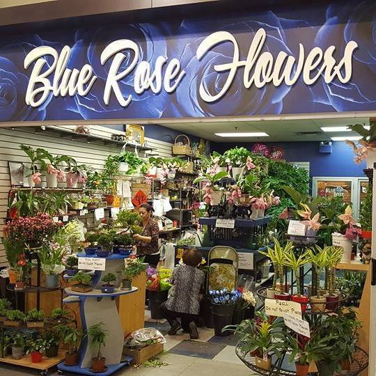 Blue - When you think of flowers, think of Blue Rose Flowers....visit ...