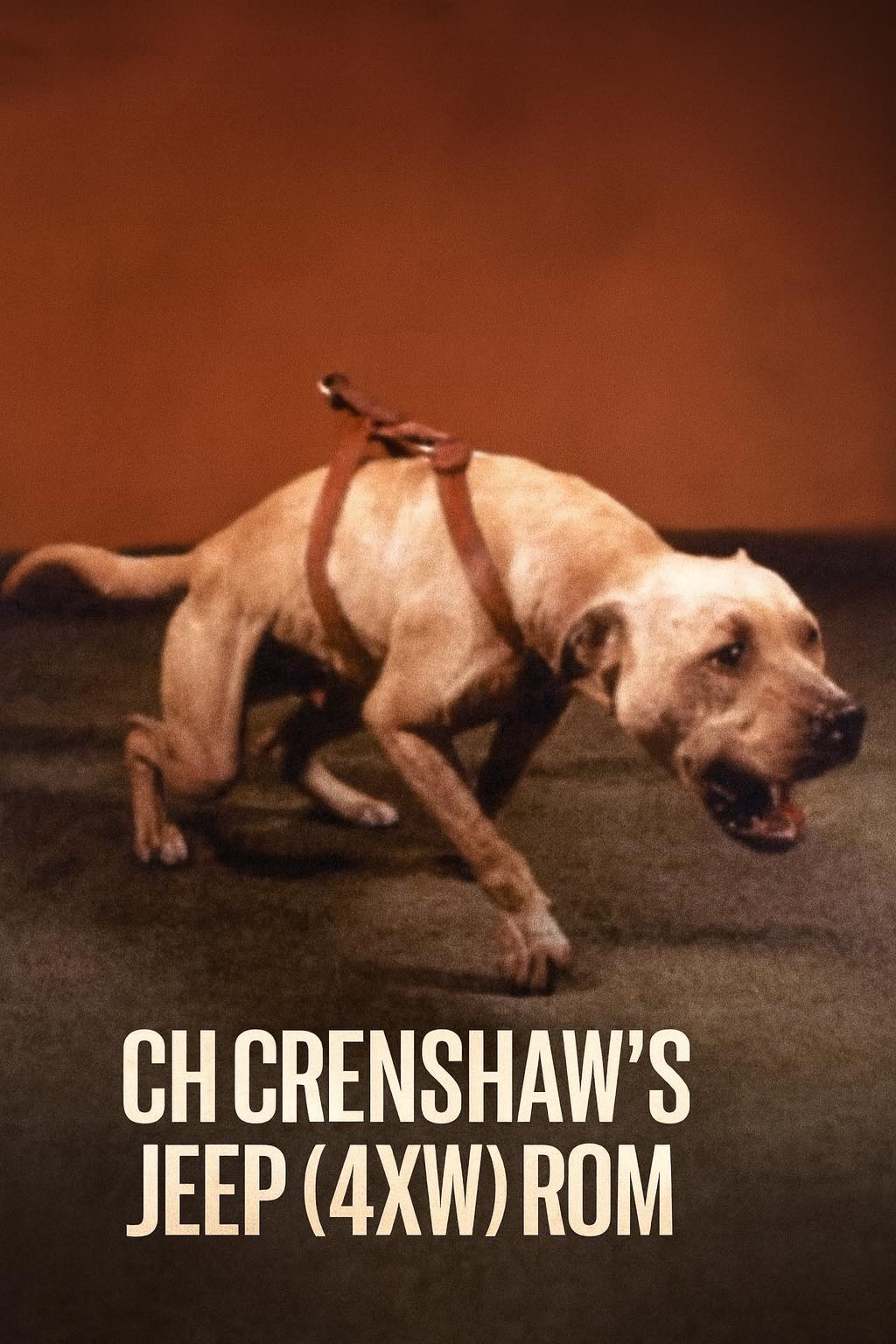 ch Jeepアヒル Crenshaw's ch jeep dog history and legacy