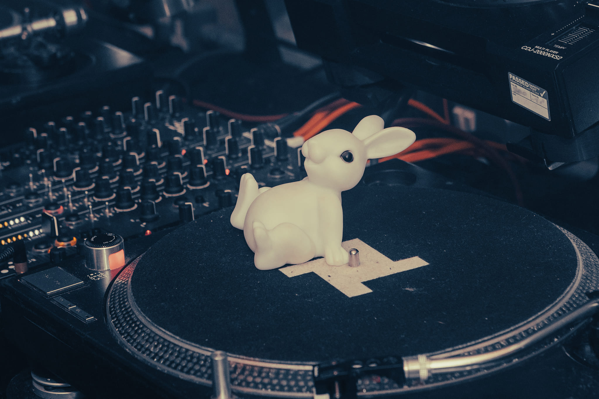 Rave Rabbit - 🐰 On the 22nd May the Rabbit will appear... | Facebook