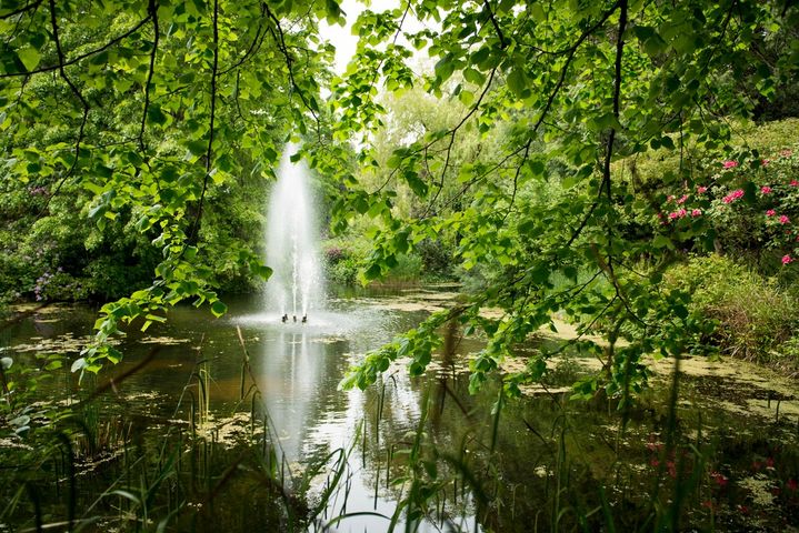 Did you know that we have nature... - University of Exeter | Facebook