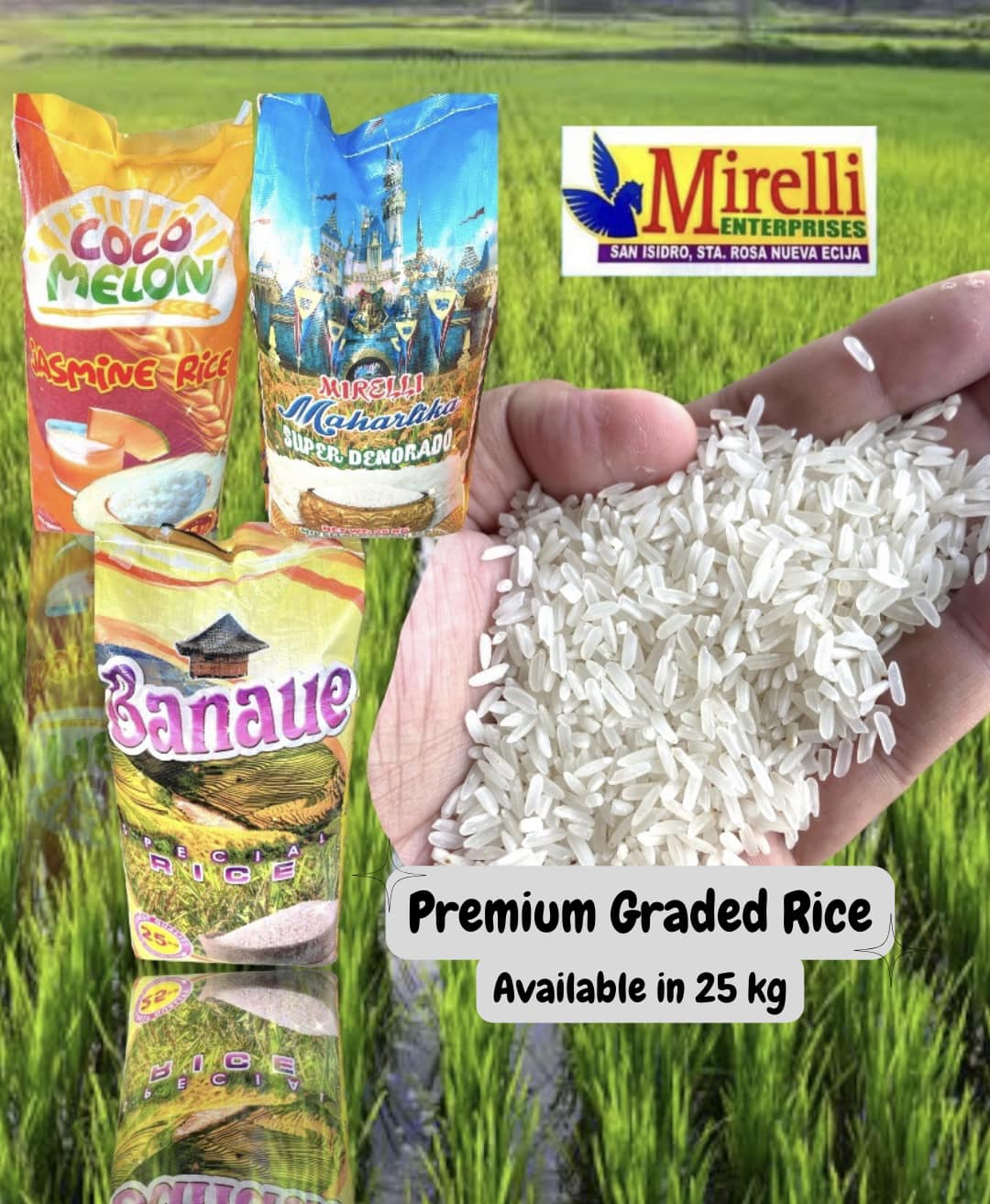Mirelli - Good Day Kabigas! Premium Graded Rice ay available dito sa ...