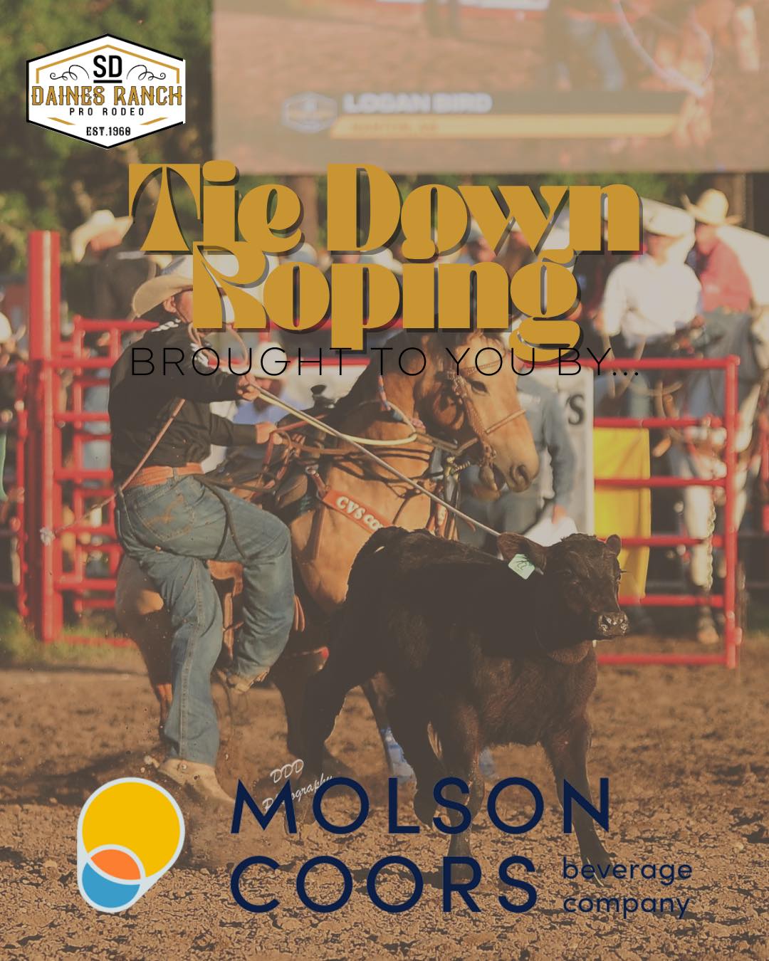Daines Ranch Pro Rodeo | Penhold AB