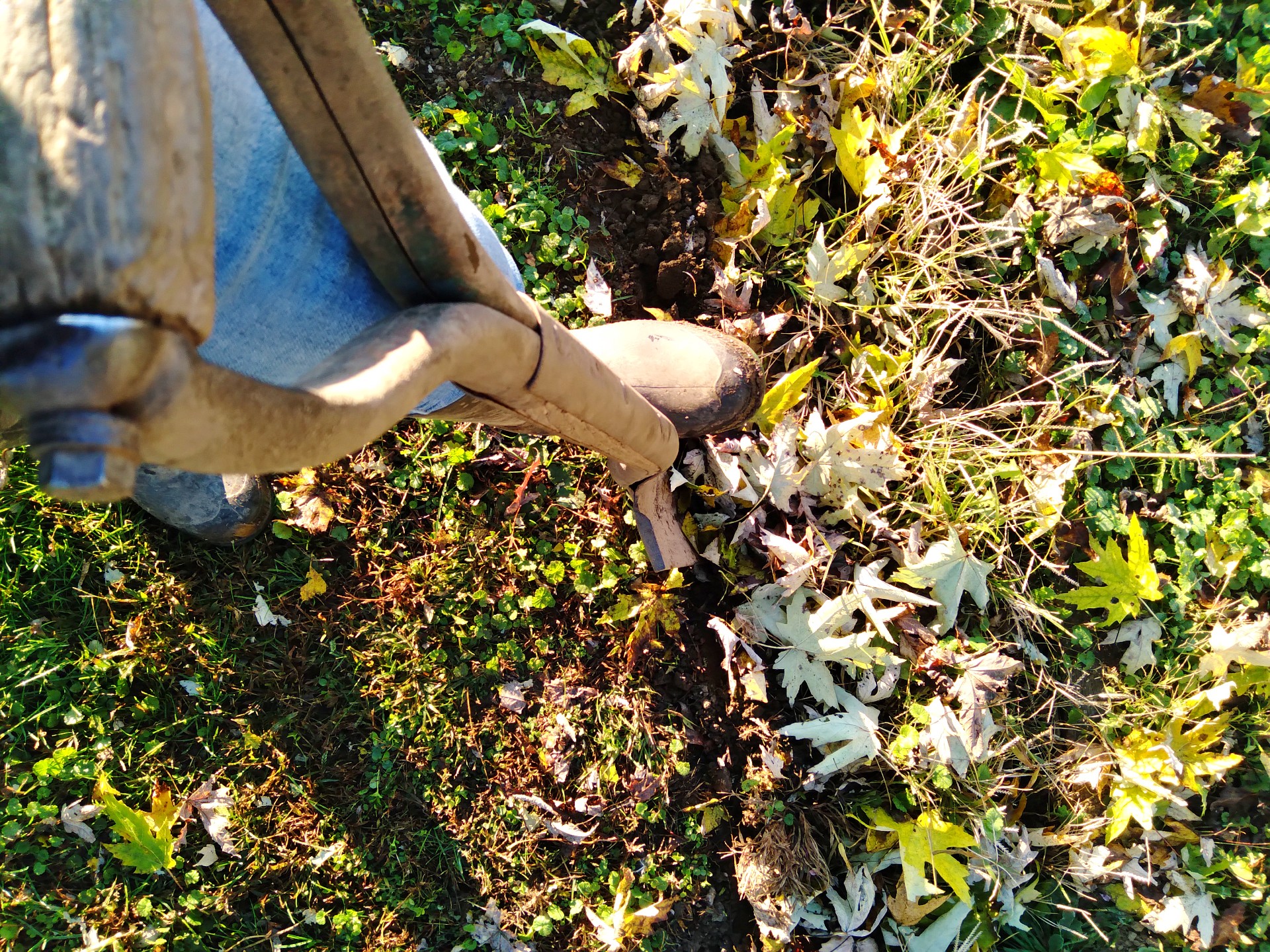Rustic Roots Homestead LLC