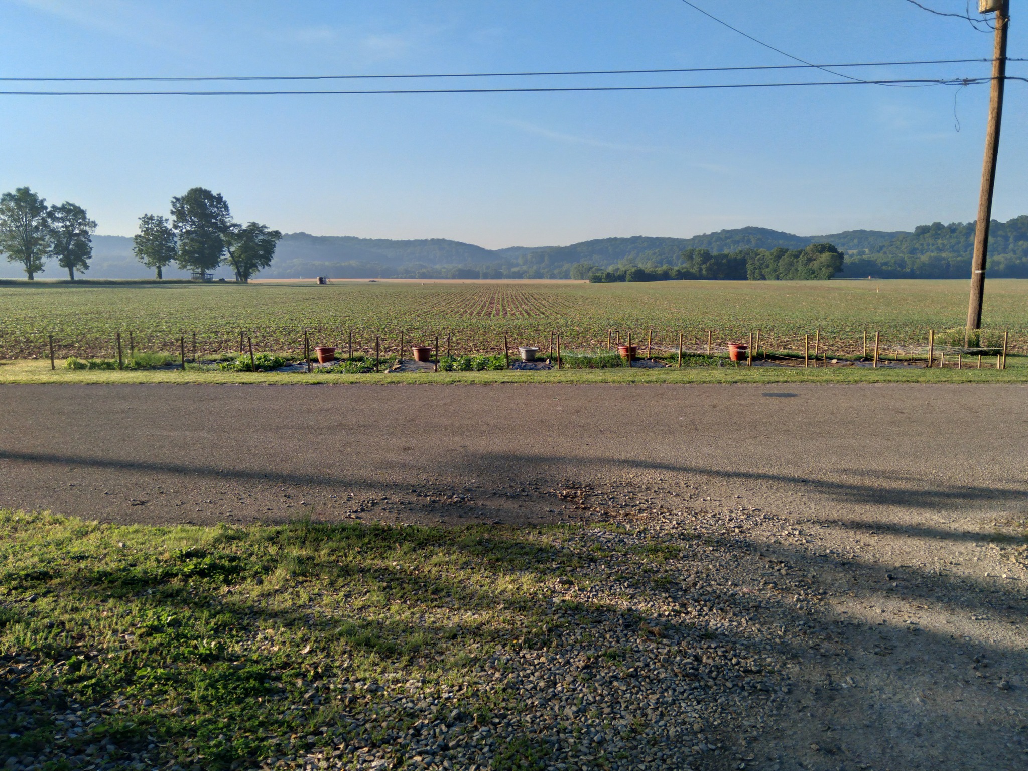 Rustic Roots Homestead LLC