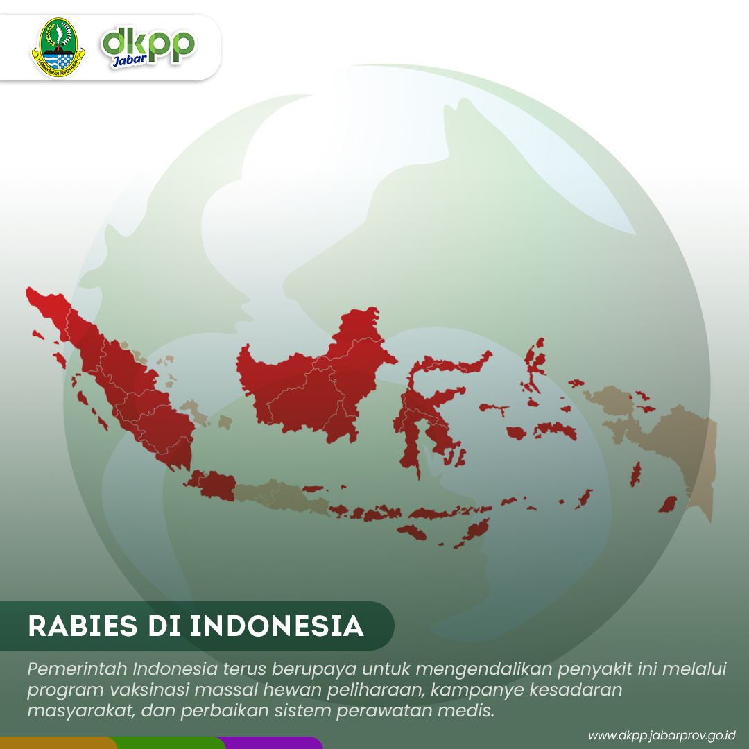 Wilujeng enjing wargi Jabar.. Rabies masih menjadi masalah serius di ...
