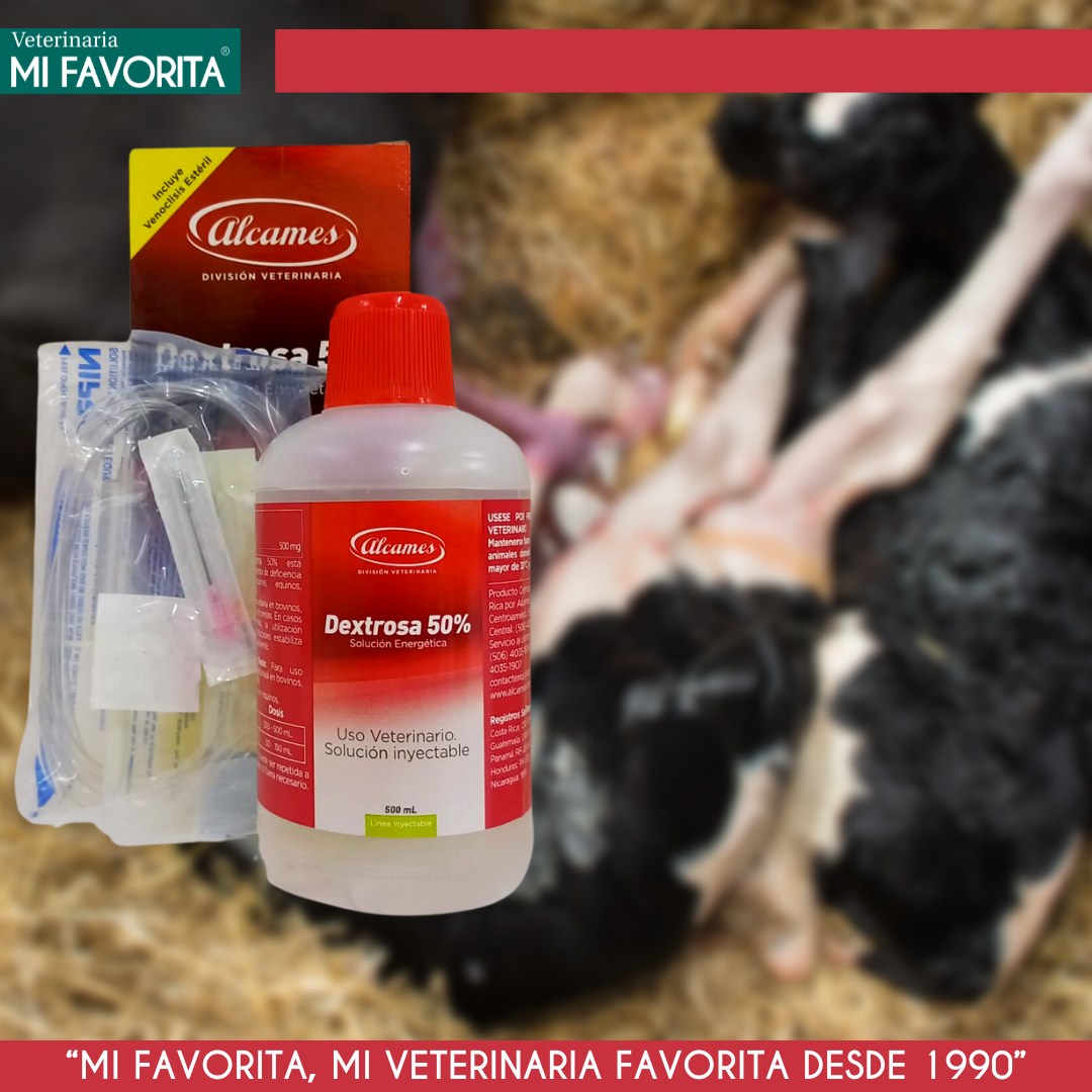 🐎🐄💫👌🏼 #Dextrosa 50% de Alcames.... - Veterinaria Mi Favorita | Facebook