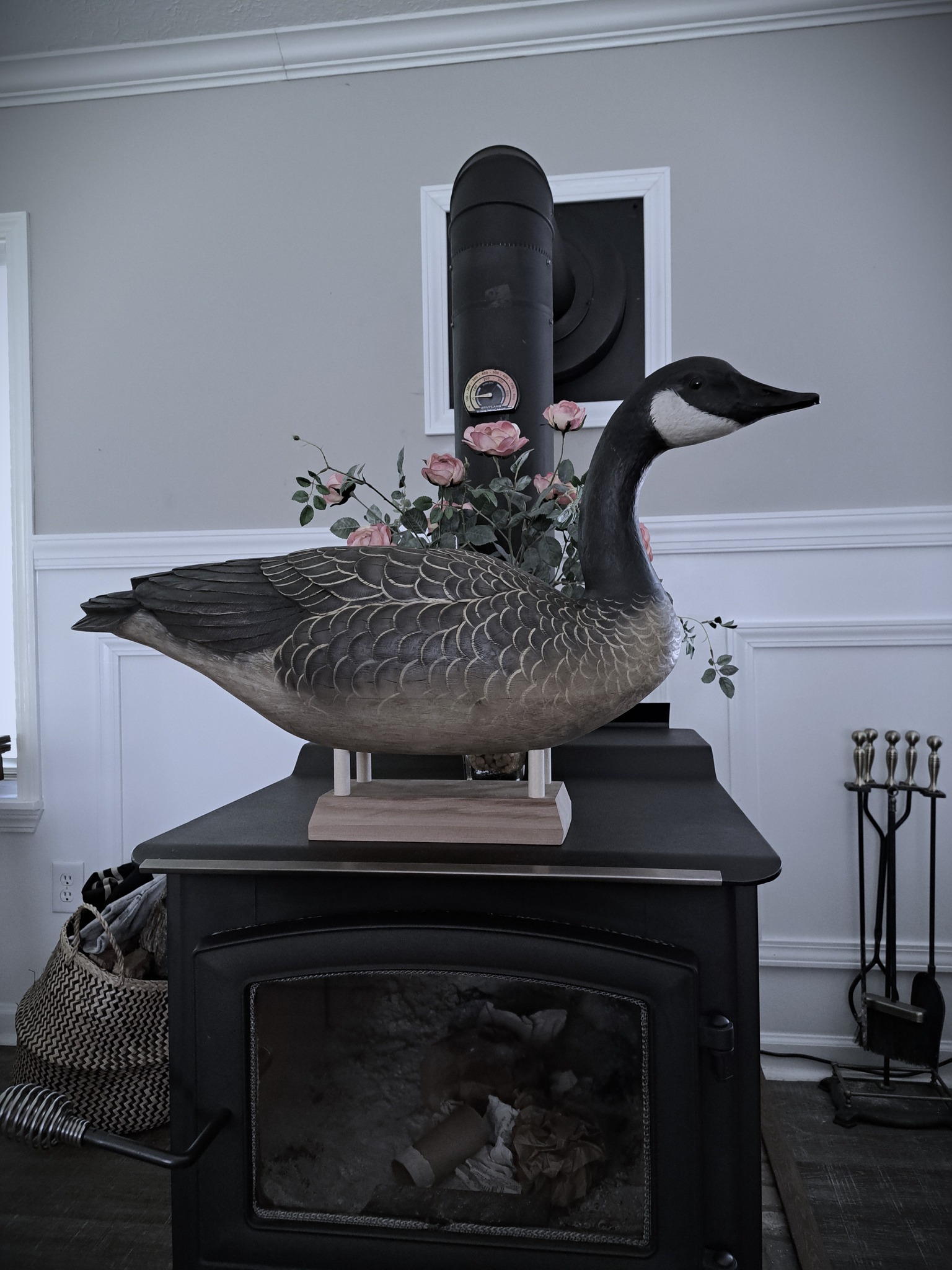 Life-size Canada Goose carving using antique method