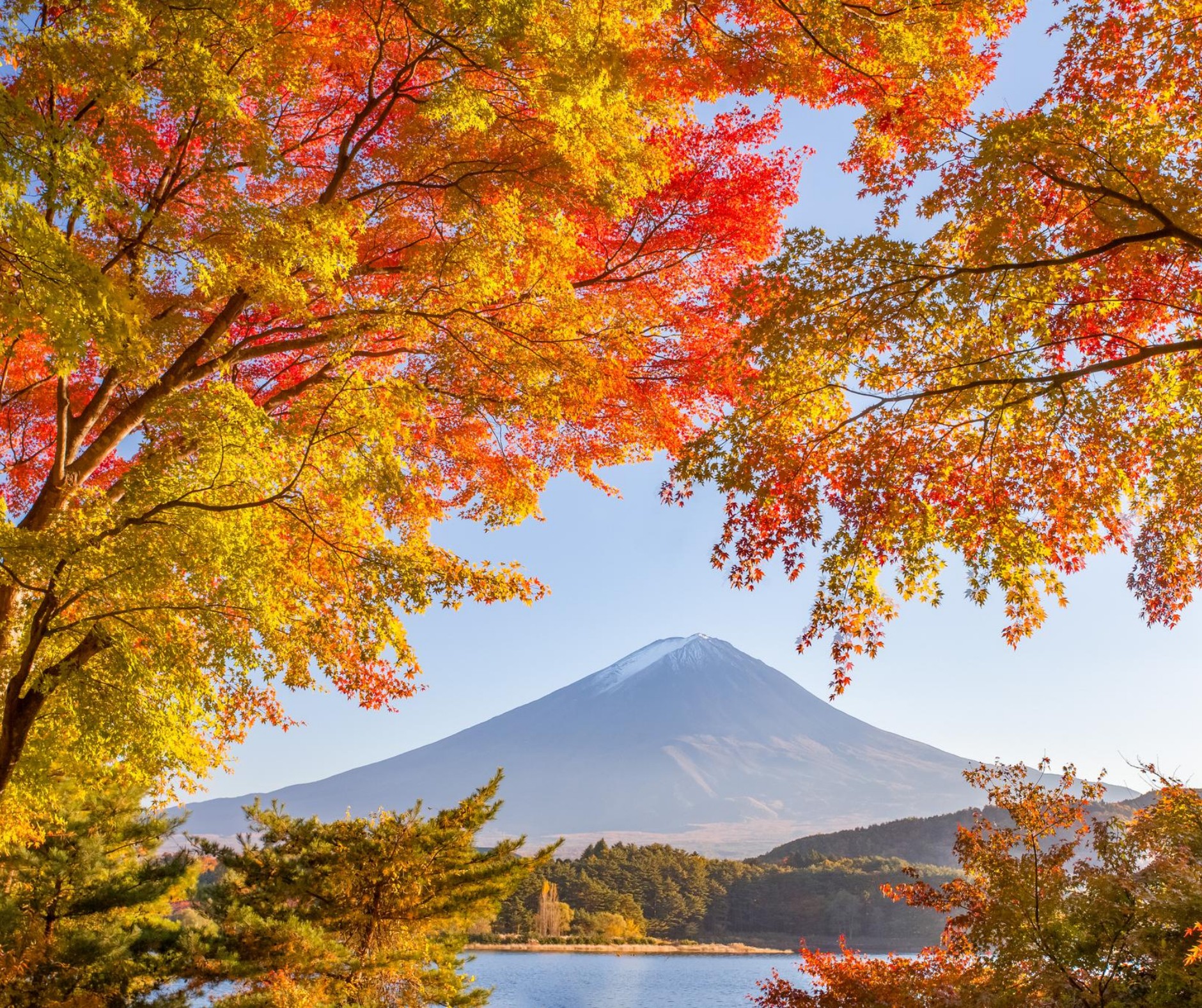 Experience autumn in Japan with vibrant landscapes