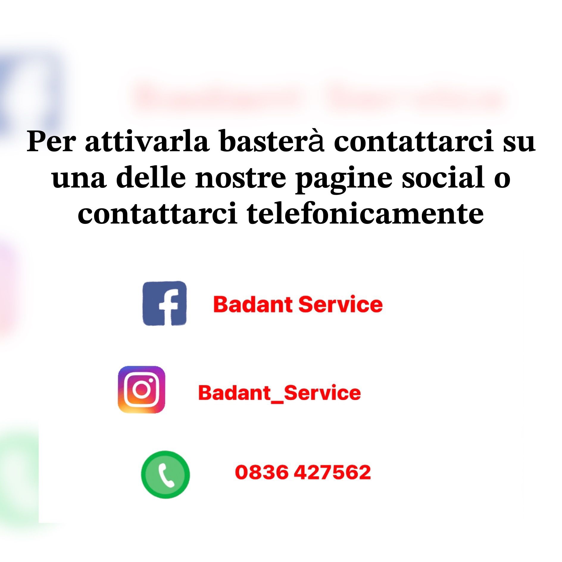 Badant Service