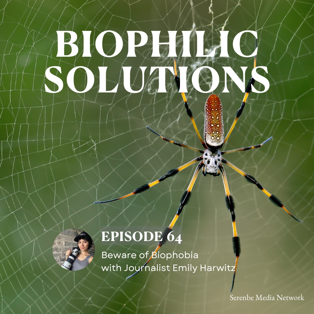 NEW Episode of the Biophilic... - The Biophilic Institute
