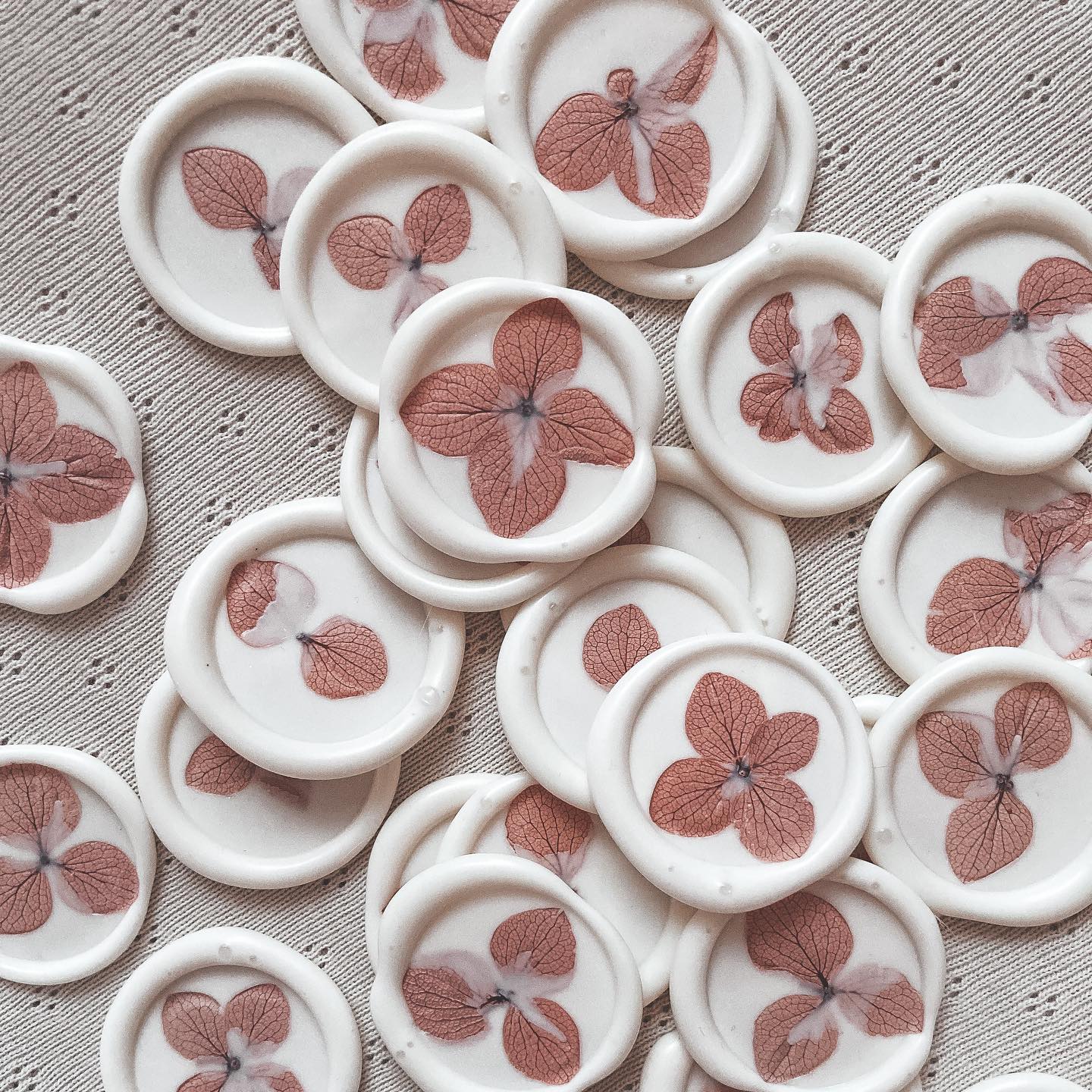 Studio - Kijk eens wat een knappies! 🌸 Hoe is het bij jou? Ook zo ...
