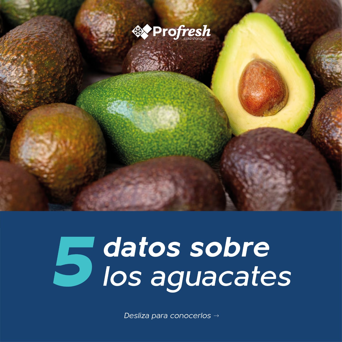En México celebramos el día del... - Pro-Fresh Cold Storage
