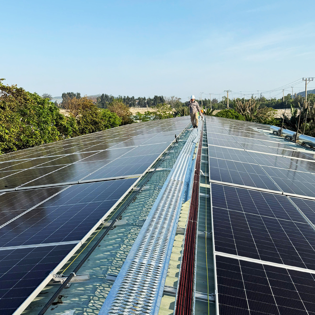 Growatt New Energy - According to India Solar Rooftop Map released by ...