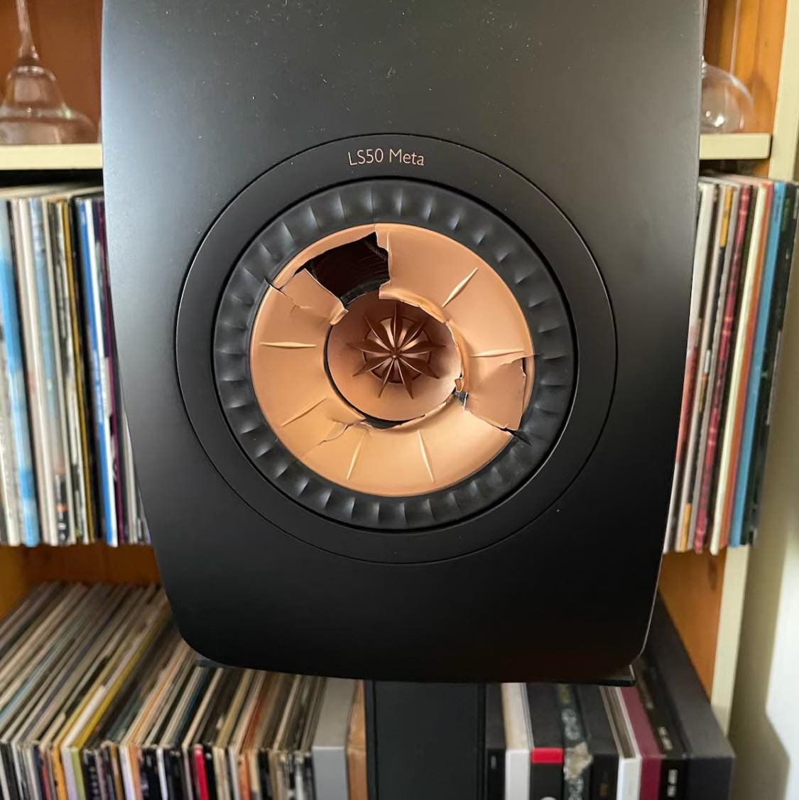 Bose Only (Bose owners can join) | I have a Bose PS48 powered speaker ...