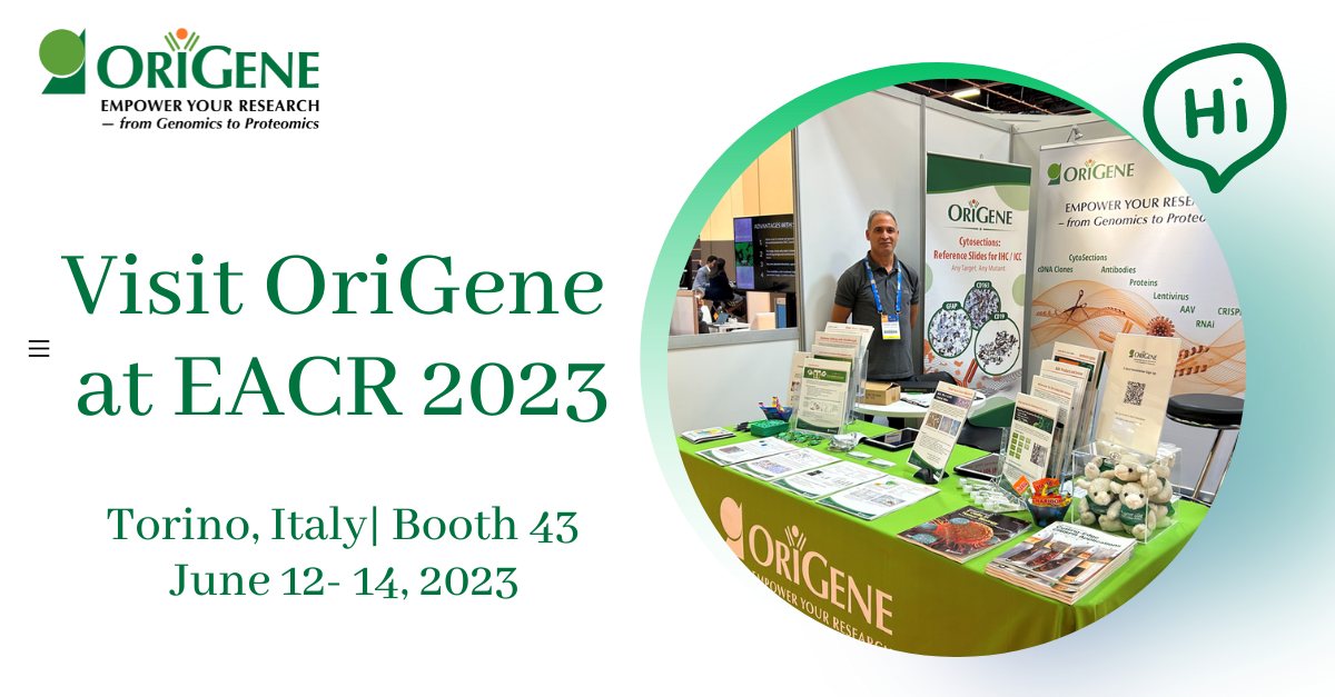 Say Hi to our team of experts... - OriGene Technologies Inc. | Facebook