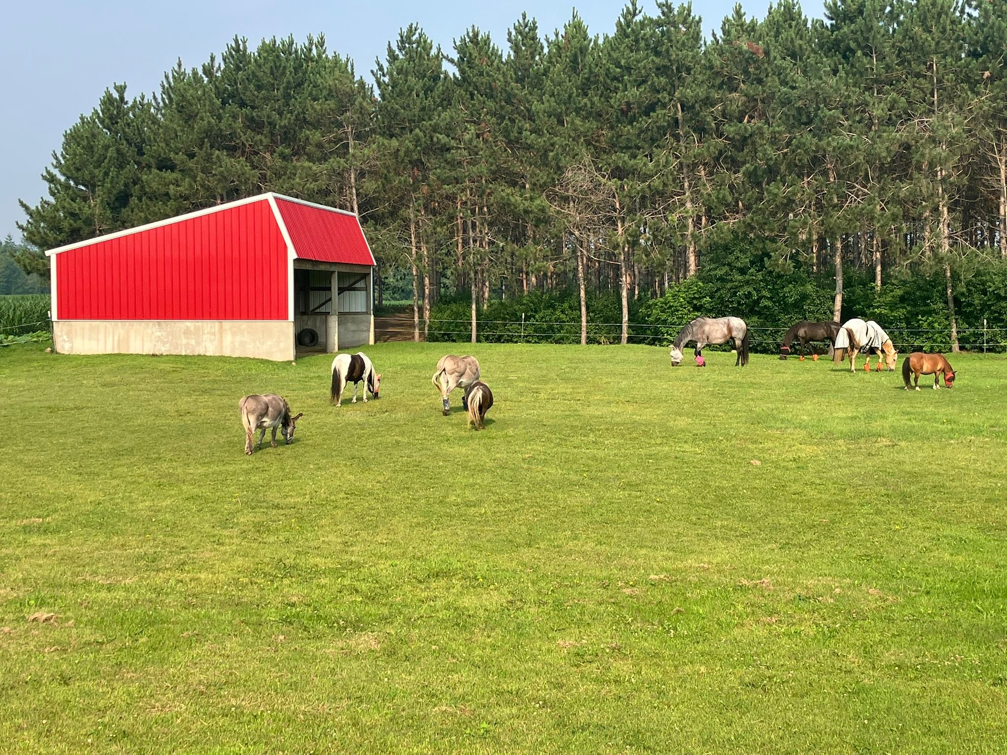 JW Ranch Inc | Porterfield WI