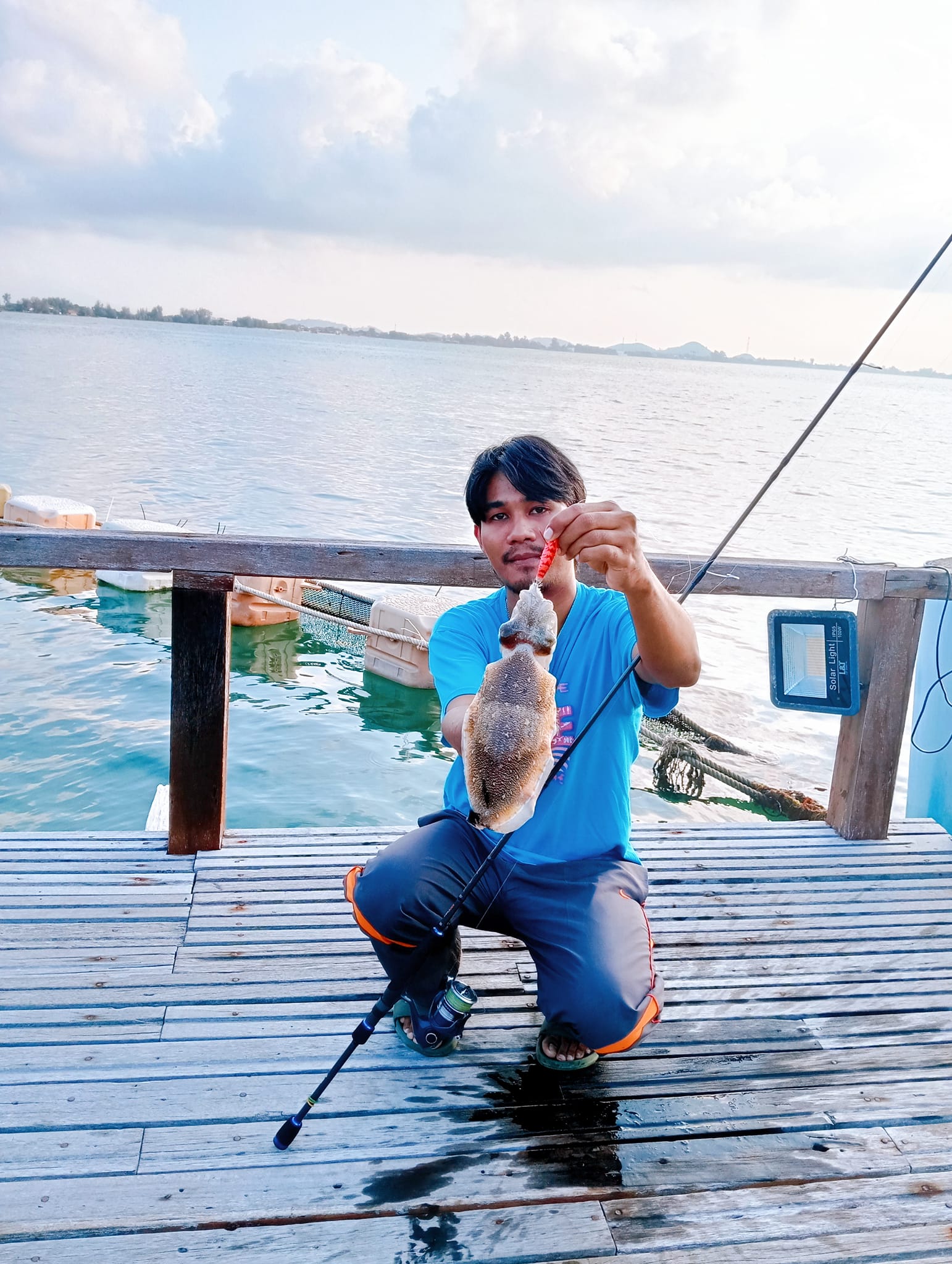 shimano catana egi rod FE Spinning Reel Providing everything you need in a reel to get out and enjoy a day on the water Shimano Catana  Fishing Online