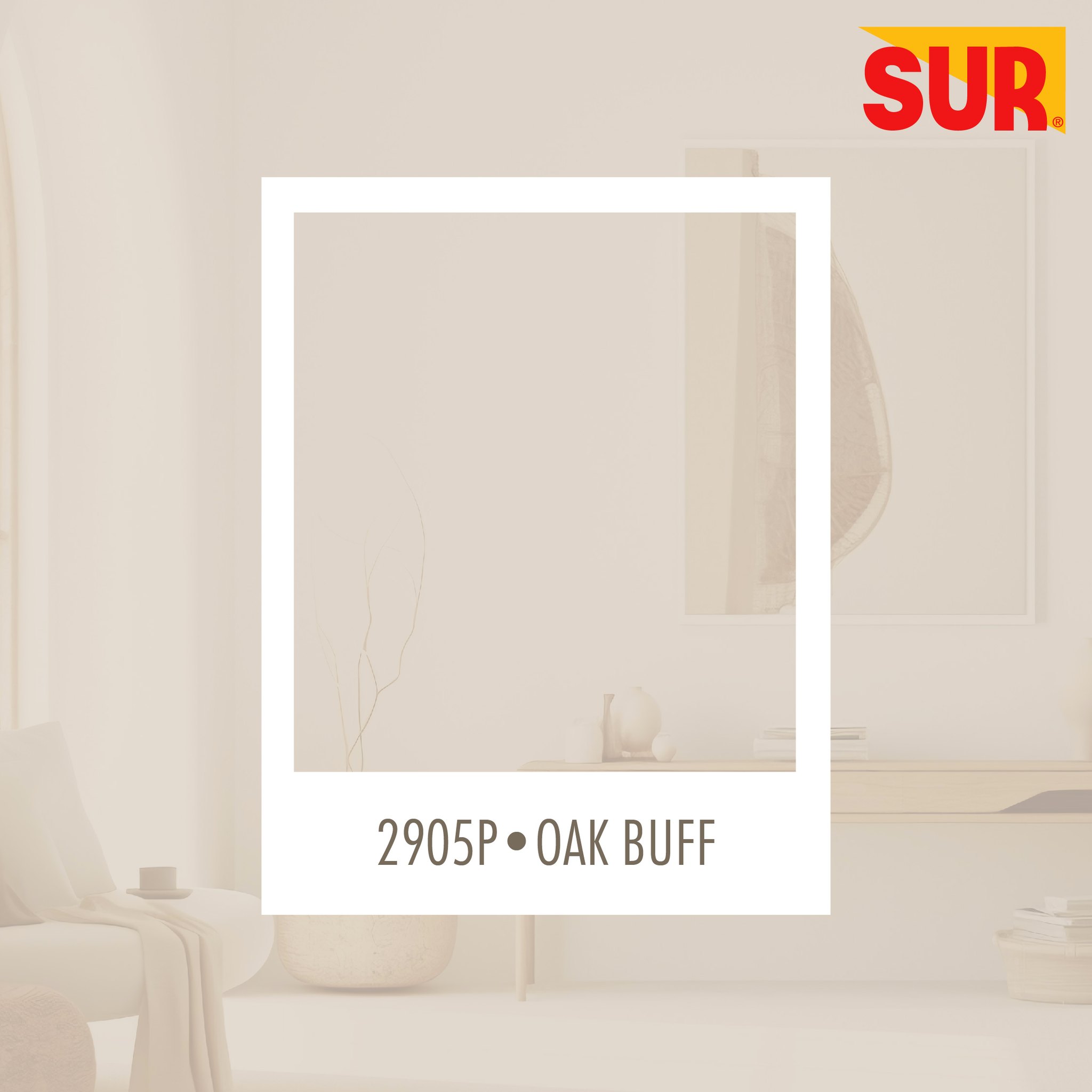 Pinturas Sur | Uruca