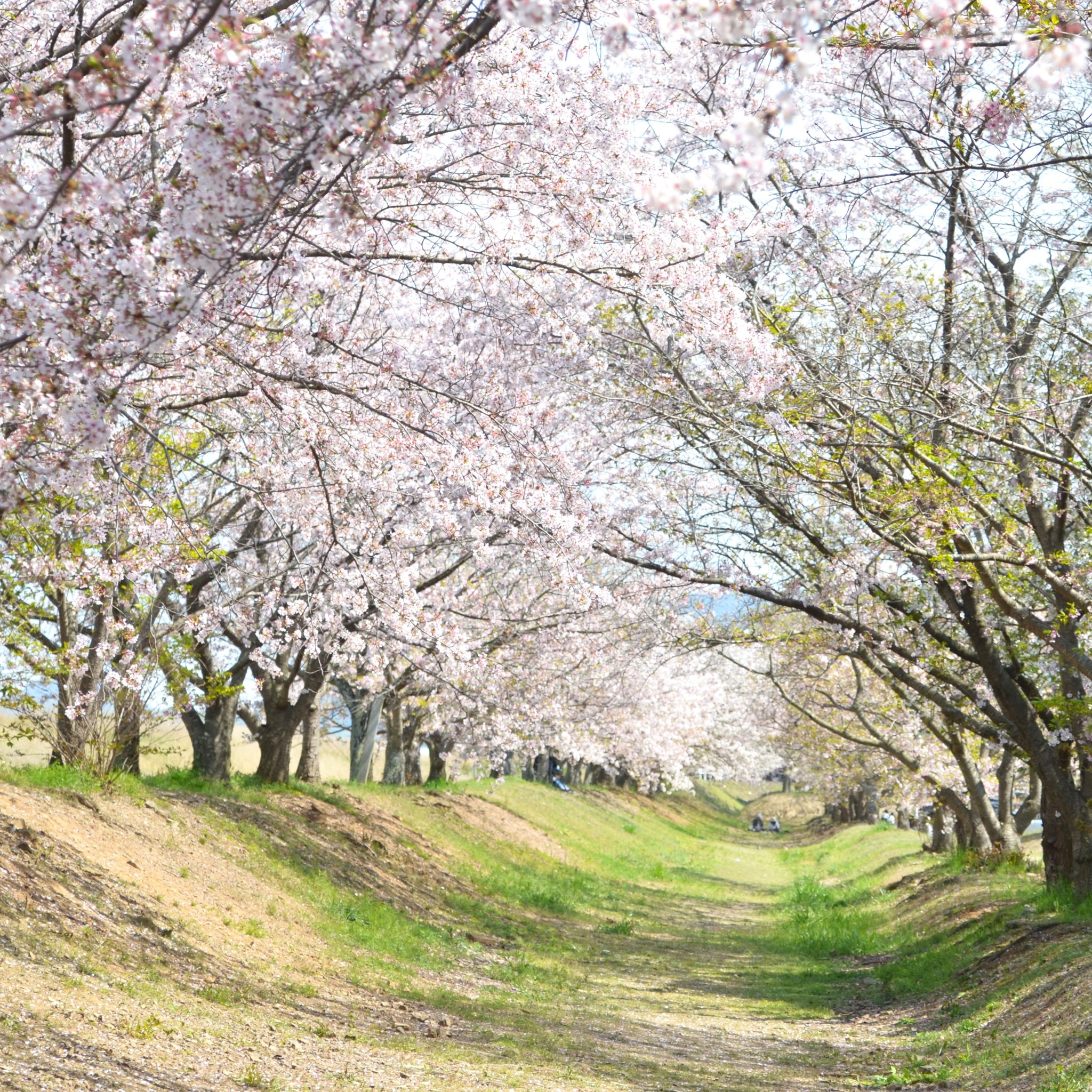 笠岡 太陽 の 広場