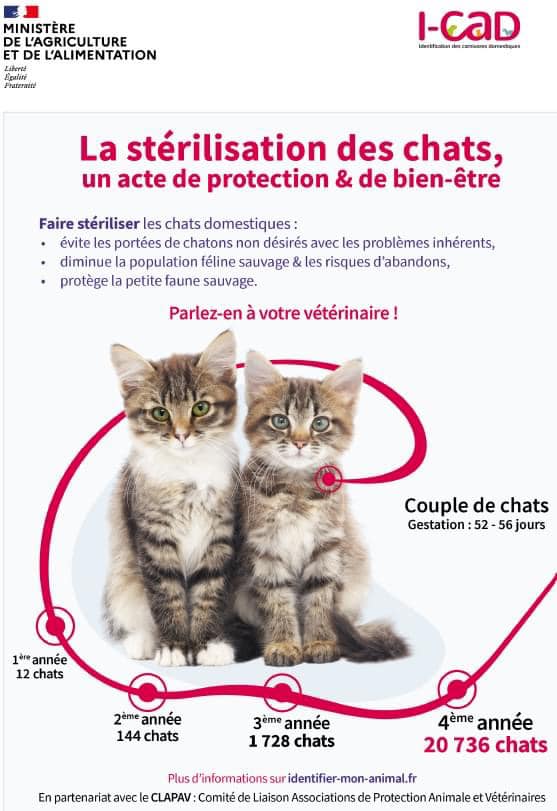 The Funny Farm Cat Rescue Accueil Facebook