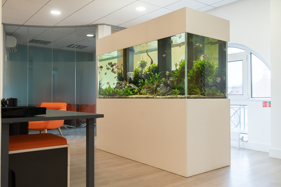 Curated visual reference: Space Needed For Aquarium Tank Installation Reference: Aquatechniques Brighten Up Your Work Space With A Planted Aquarium