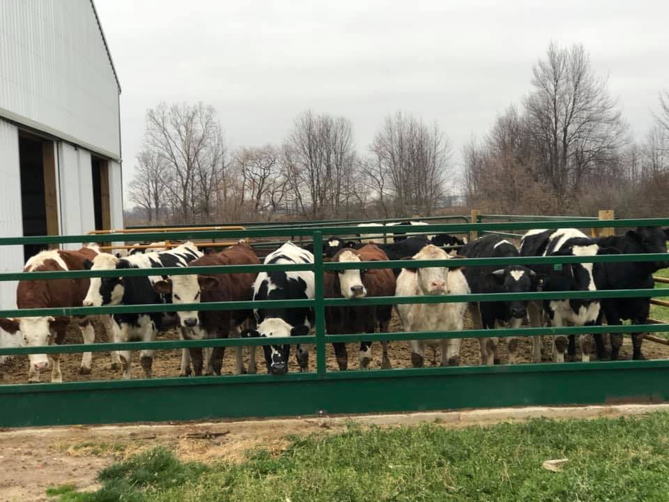 Red 7 Ranch LLC | Coopersville MI