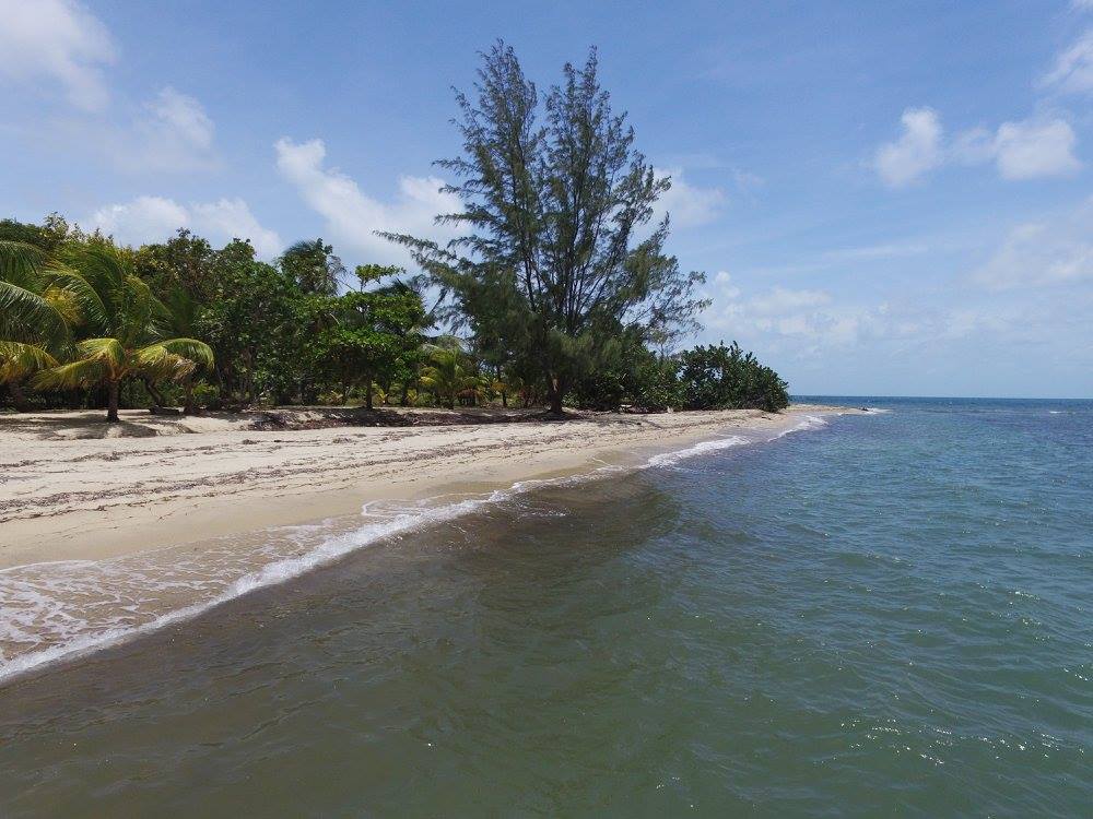 IBP | Punta Placencia