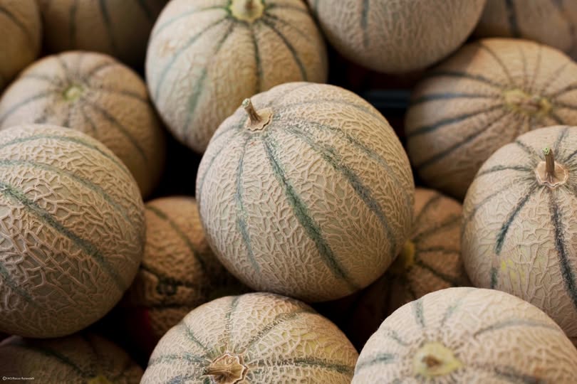 🍈 #DYK that Asia is the world's... - FAO in Uzbekistan | Facebook