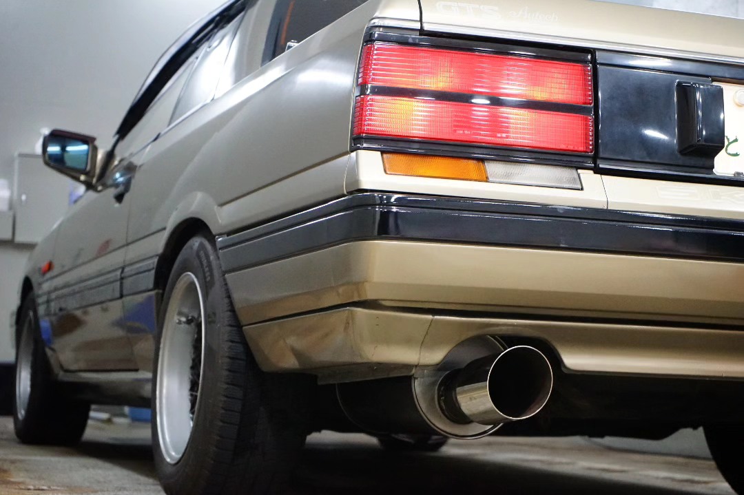 Skyline Autech