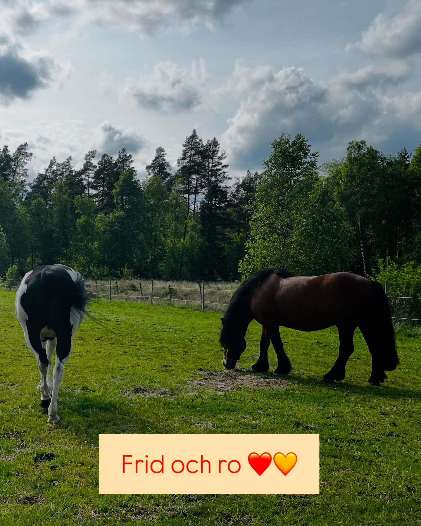 Källshults Gård - Källshults Gård added a new photo.