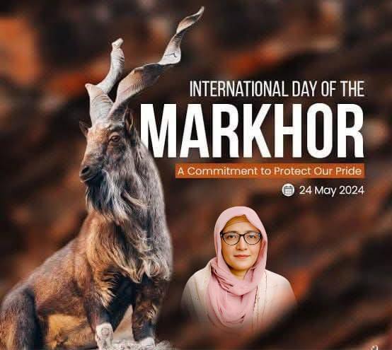 Layyah - Today, we celebrate International Markhor Day, honoring ...