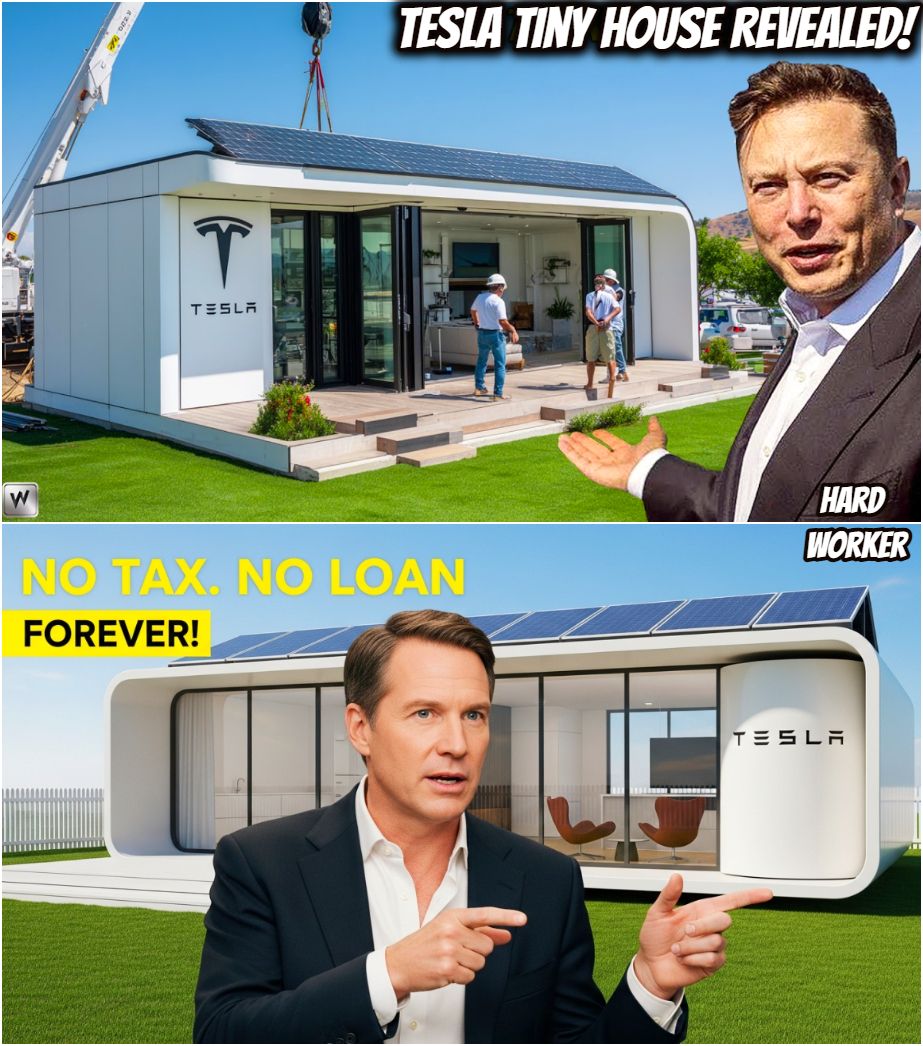 Hard - End of Boxable. $7,995 Tesla Tiny House Revealed! Best FREE Land ...