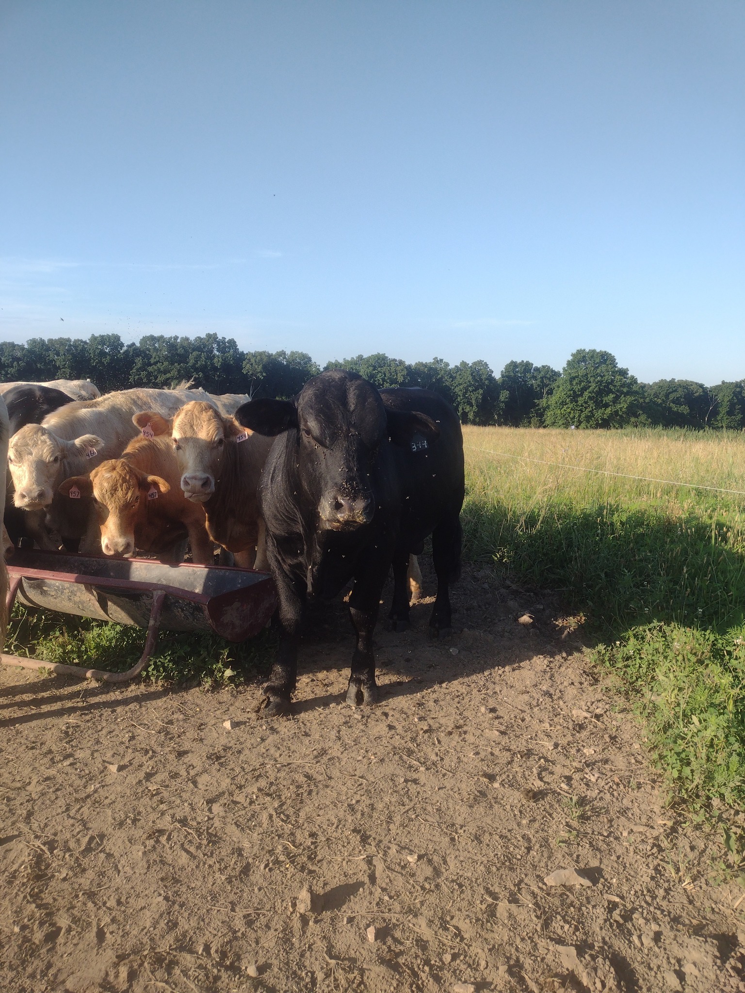 Sundown Ranch LLC