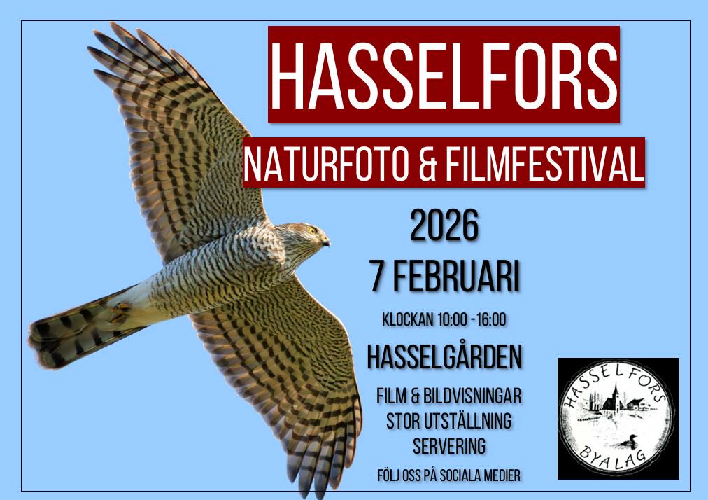 Hasselfors naturfoto och filmfestival 2026 - 7 feb