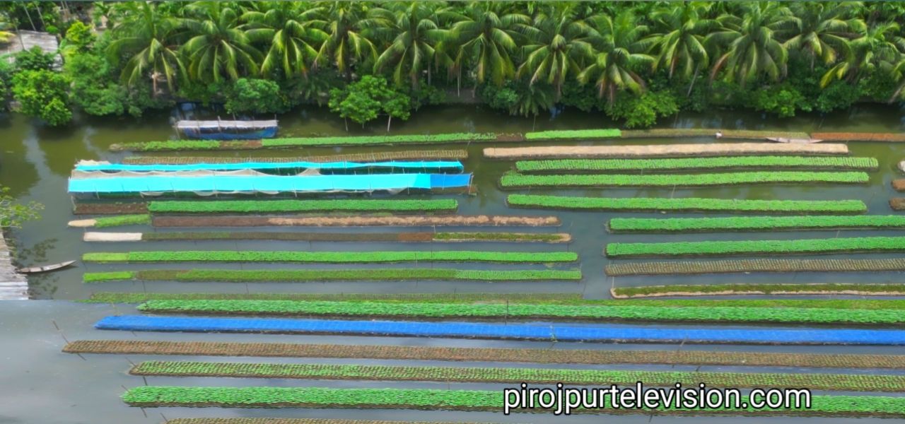 Amazing Process of Making Decorative Concrete Grass Pavers | Cement ...