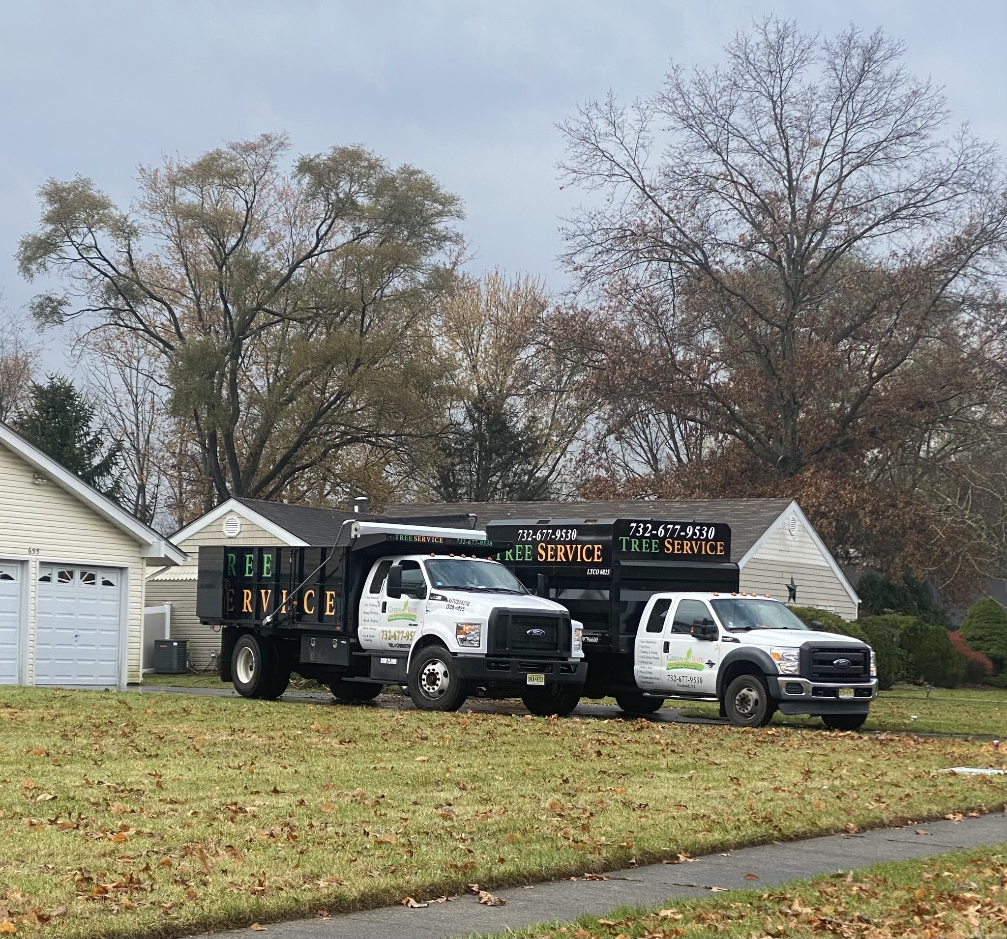 GREEN RITE L&LC | Freehold NJ