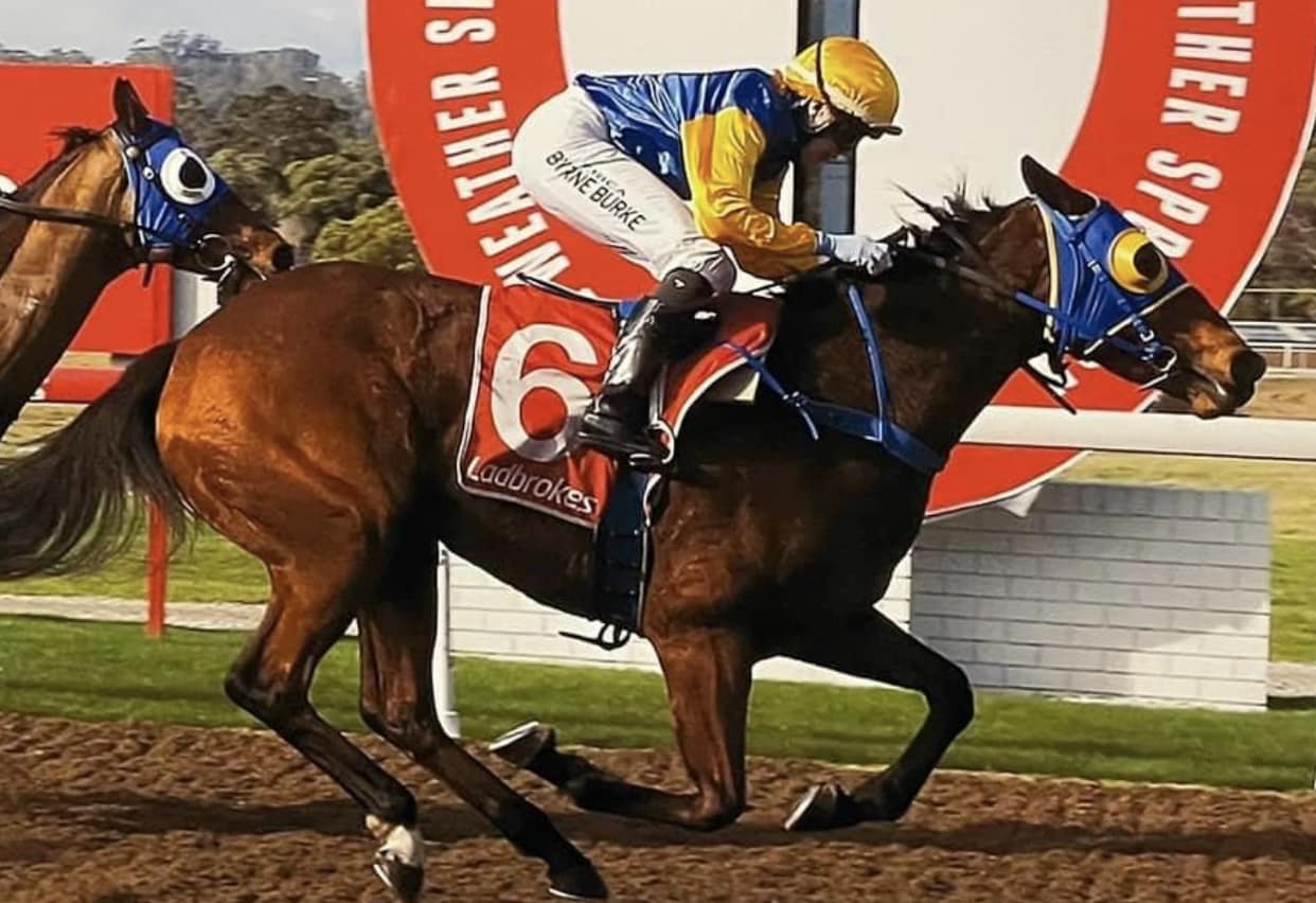 CRT - Racing today Elwick Racecourse The 2 runners for our stable: Race ...