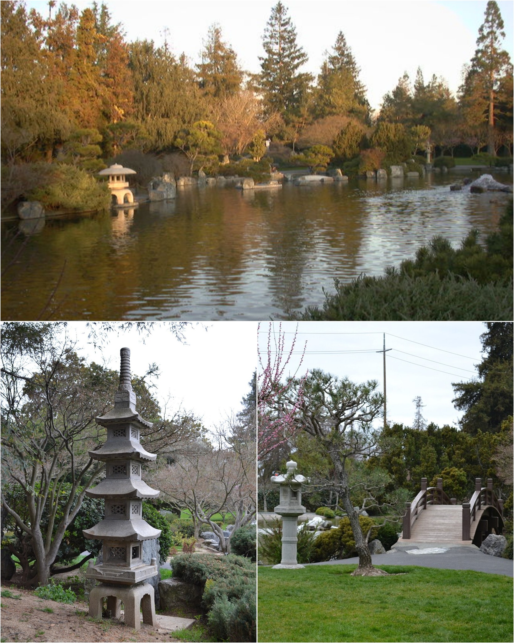 Japanese Friendship Garden at Kelley Park (tea ceremony and seasonal rituals) photo 1
