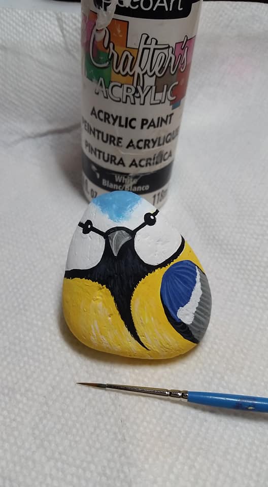 Rocan Rocks - Dot in the eye with white and paint in the white feathers ...