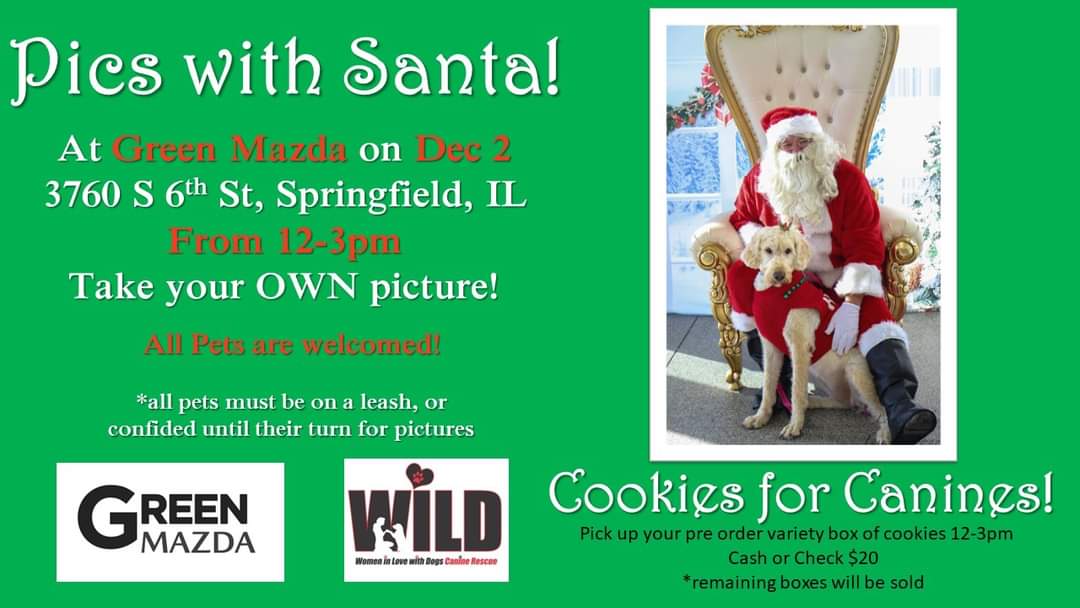 WILD Canine Rescue | Springfield IL