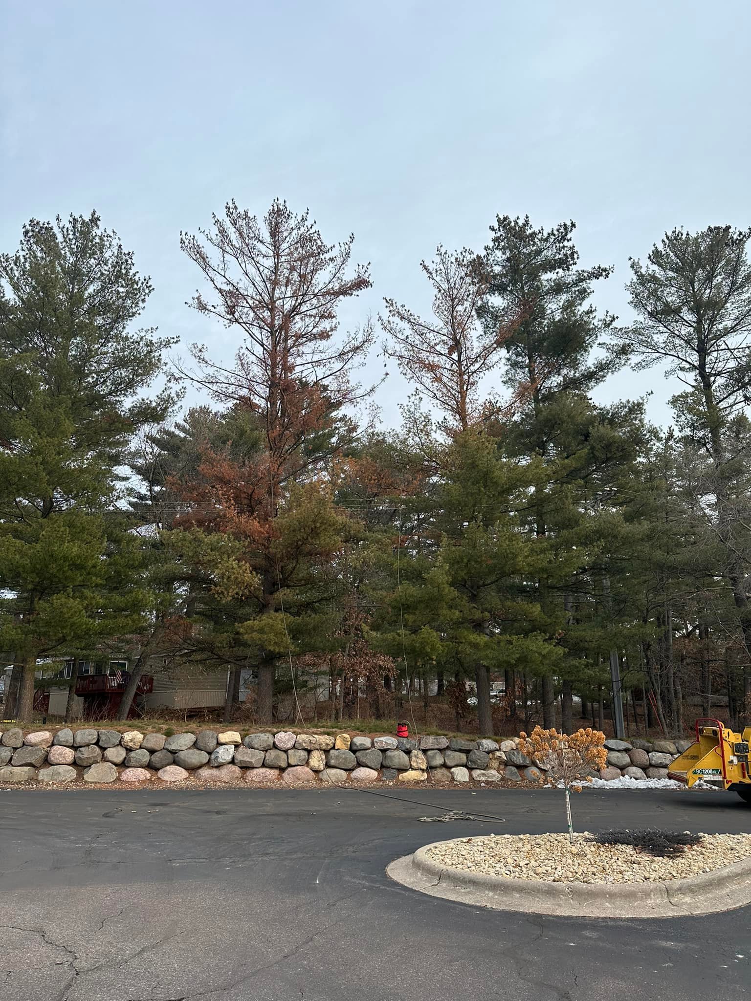 Cutting Edge Tree Service