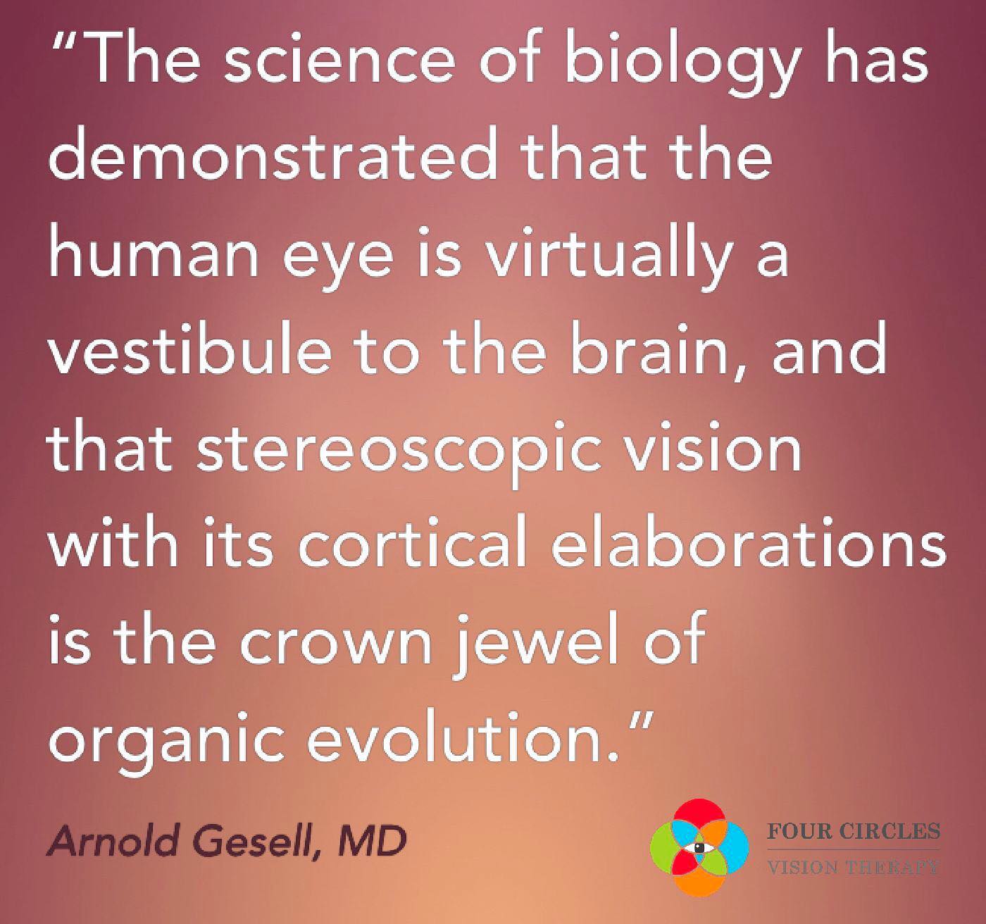 Four - Deep thoughts about vision and its amazing role in our every day ...