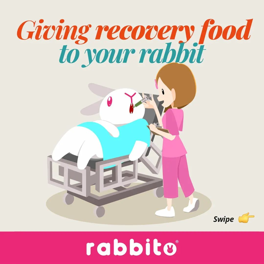 Rabbito Mart - A guide to giving recovery food to your...